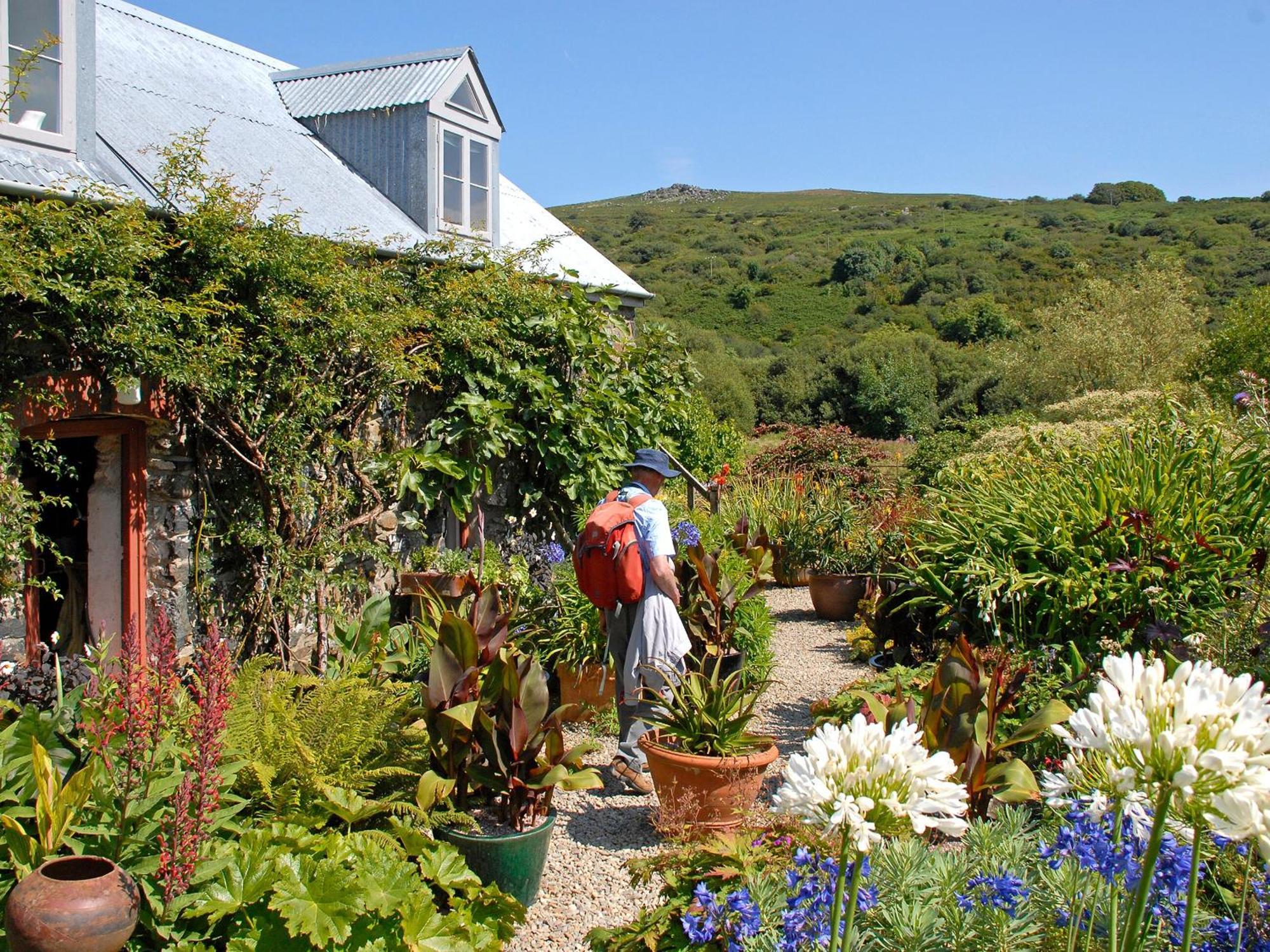 Wisteria Lodge - Qc1677 Cilgwm Bagian luar foto